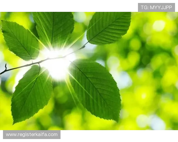 凯发线上官网下载网址大全积极响应行业政策推动绿色安全的线上娱乐环境